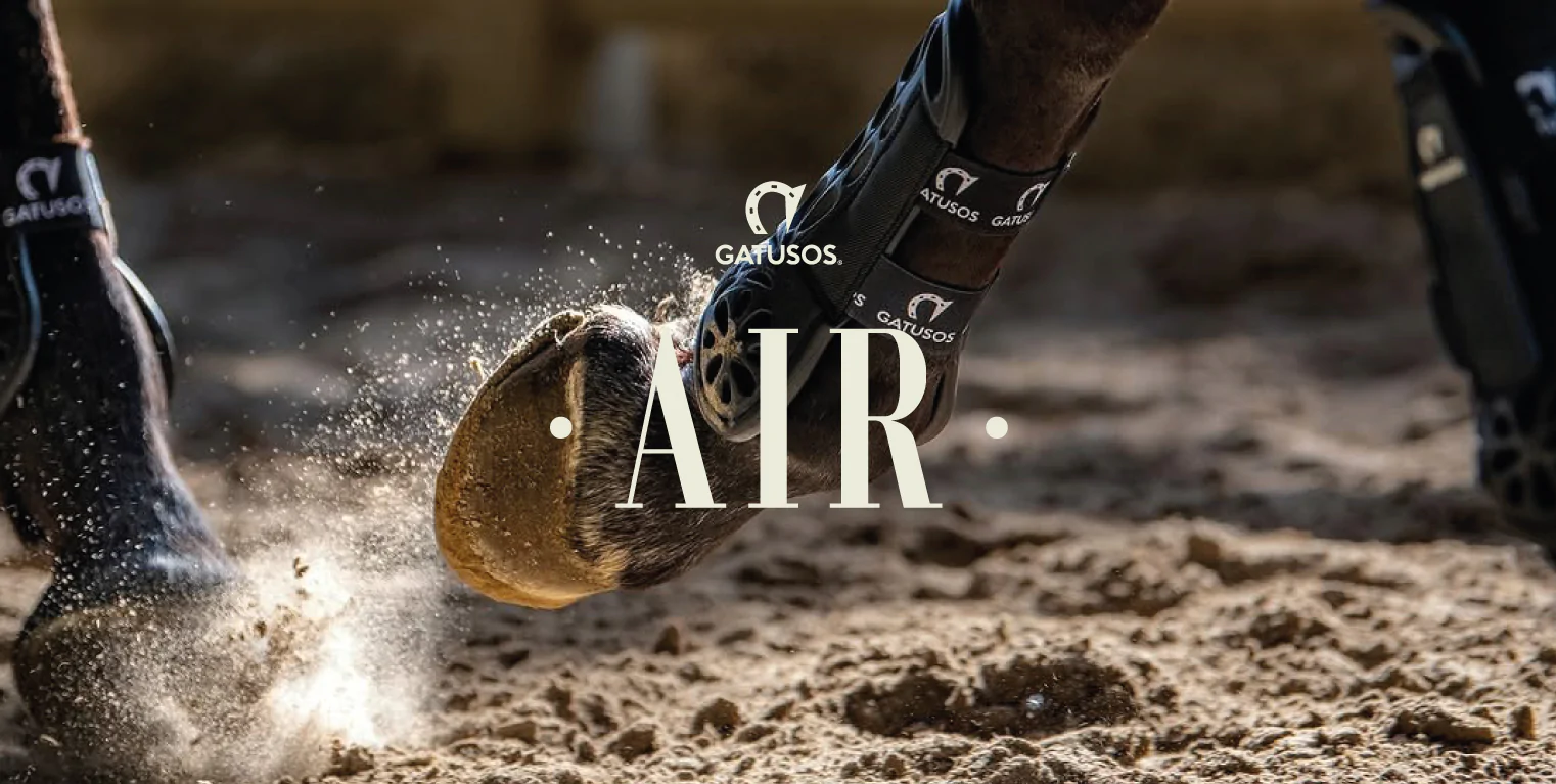 Air